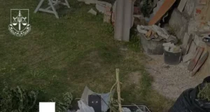 На Львівщині викрили групу, що вирощувала коноплі на мільйони гривень