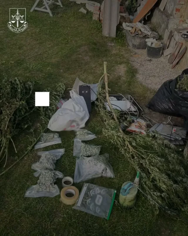 image На Львівщині викрили групу, що вирощувала коноплі на мільйони гривень