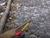 У Львові через блокування Казначейства двірники та водії залишаються без зарплат У Львові через блокування Казначейства двірники та водії залишаються без зарплат
