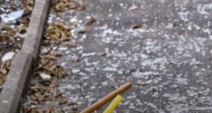У Львові через блокування Казначейства двірники та водії залишаються без зарплат