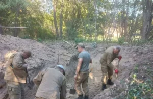 У Ласкові в Польщі знайшли понад 40 останків українців із масового поховання У Ласкові в Польщі знайшли понад 40 останків українців із масового поховання