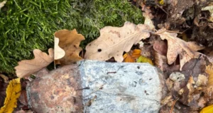 На Львівщині знову виявили боєприпаси минулих війн
