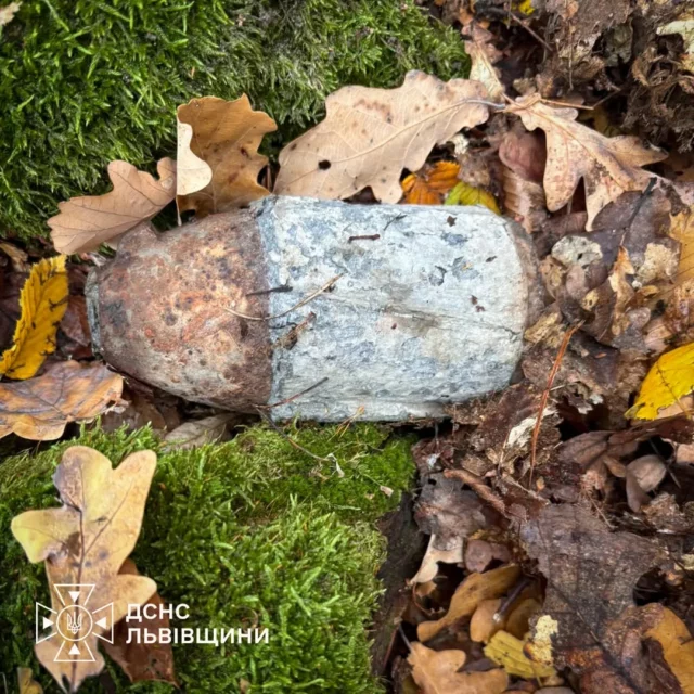 На Львівщині знову виявили боєприпаси минулих війн