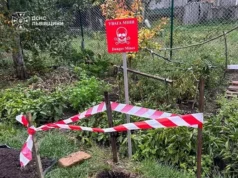 На Львівщині знищили два боєприпаси часів Другої світової війни На Львівщині знищили два боєприпаси часів Другої світової війни