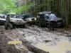 Львівська облрада просить посилити відповідальність за джипінг у Карпатах Львівська облрада просить посилити відповідальність за джипінг у Карпатах