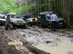 Львівська облрада просить посилити відповідальність за джипінг у Карпатах Львівська облрада просить посилити відповідальність за джипінг у Карпатах