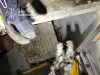У Львові рятувальники дістали котів із колектора на вулиці Роксоляни