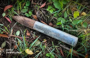 У селі Зіболки на Львівщині в полі знайшли артилерійський снаряд часів Другої світової