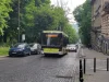 У Львові до 13:00 змінено рух тролейбусів №22 і №30 через обрізку гілок
