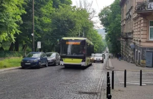 У Львові до 13:00 змінено рух тролейбусів №22 і №30 через обрізку гілок