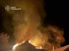 У Судовій Вишні рятувальники загасили пожежу в літній кухні