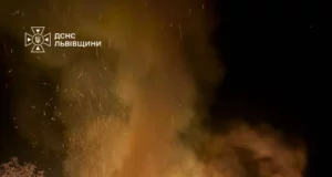 У Судовій Вишні рятувальники загасили пожежу в літній кухні
