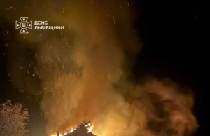 У Судовій Вишні рятувальники загасили пожежу в літній кухні