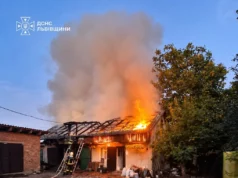 У Кам’янці-Бузькій під час пожежі в господарській будівлі врятували тварин і гараж У Кам’янці-Бузькій під час пожежі в господарській будівлі врятували тварин і гараж