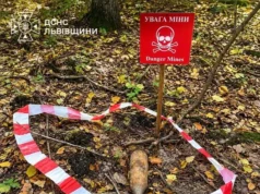 На Львівщині грибники виявили два боєприпаси часів Другої світової війни На Львівщині грибники виявили два боєприпаси часів Другої світової війни