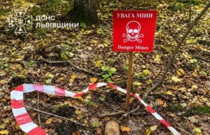 На Львівщині грибники виявили два боєприпаси часів Другої світової війни