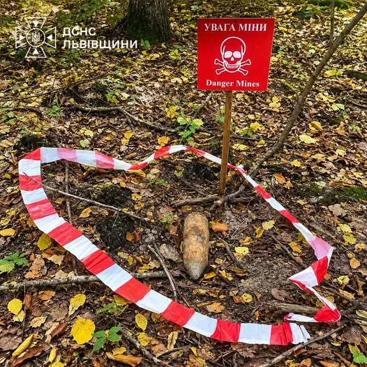 image На Львівщині грибники виявили два боєприпаси часів Другої світової війни