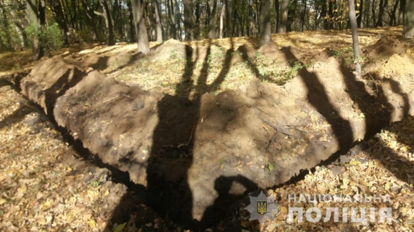 За фактом самовільного будівництва на території одного з львівських парків правоохоронці відкрили кримінальне провадження