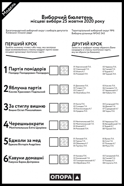 Як проголосувати на місцевих виборах: запитання-відповіді про нову форму виборчих бюлетенів