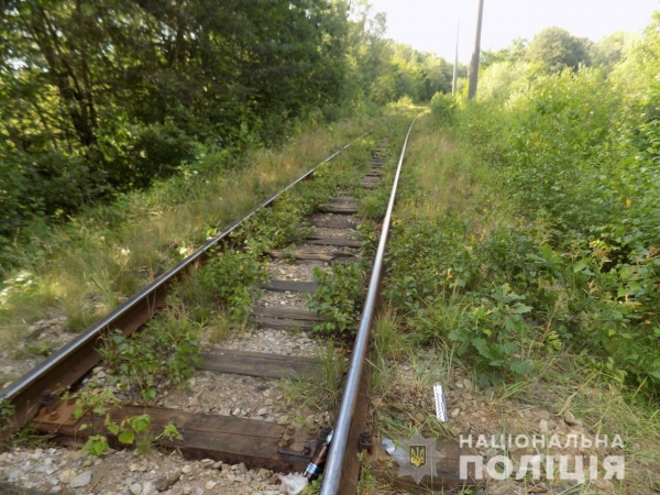 На Львівщині внаслідок наїзду потяга травмований чоловік – поліцейські встановлюють обставини події