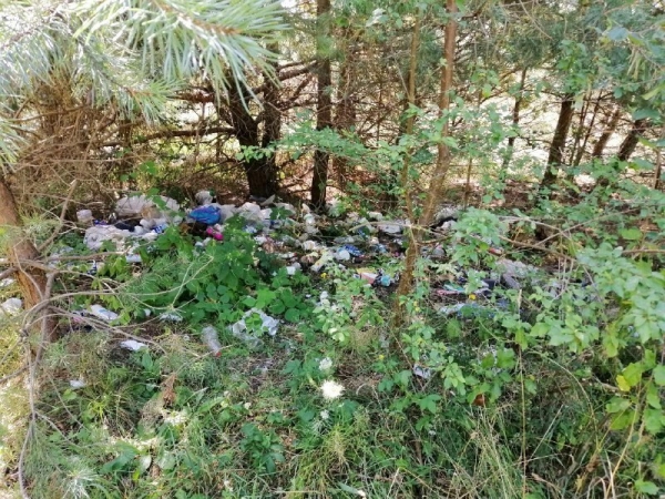 Державною екологічною інспекцією проводяться рейди по виявленню несанкціонованих сміттєзвалищ